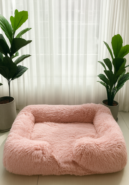 המיטה של בונו - מיטה אורתופדית