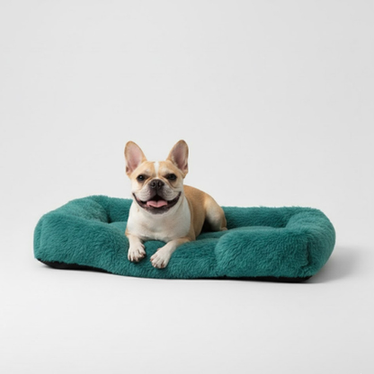 המיטה של בונו - מיטה אורתופדית