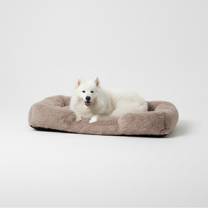 המיטה של בונו - מיטה אורתופדית