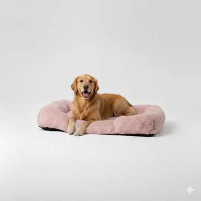 המיטה של בונו - מיטה אורתופדית