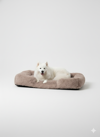 המיטה של בונו - מיטה אורתופדית