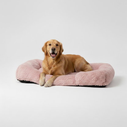 המיטה של בונו - מיטה אורתופדית