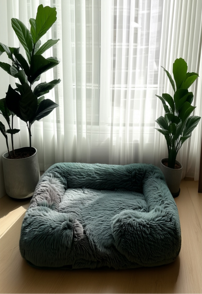 המיטה של בונו - מיטה אורתופדית