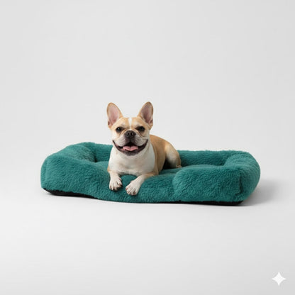 המיטה של בונו - מיטה אורתופדית